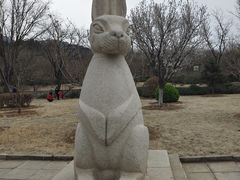 -北京十三陵国家森林公园蟒山景区