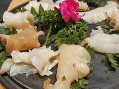养颜深海鱼花胶-煲宫猪肚鸡(晶品店)