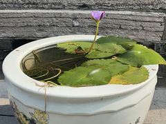 -西安市广仁寺