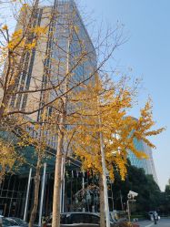 -静安洲际酒店·宴会厅