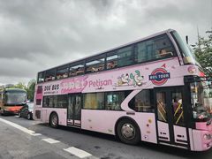 -BUS TOUR观光巴士