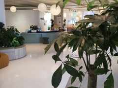 -观心实验室·心理咨询(上海旗舰店)