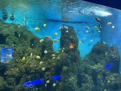 -石家庄海洋公园