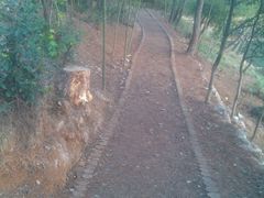 android_upload_pic-南京市无想山景区