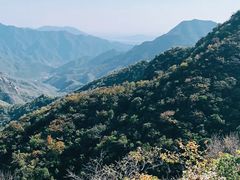 -大岭沟猕猴桃谷风景区