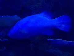 -成都浩海立方海洋公园