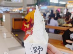 -野人先生Gelato(上海长宁龙之梦店)