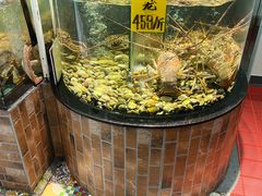 -九號渔港·蒸汽海鲜·粤菜茶点(八卦岭店)