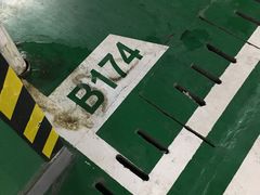 -大连体育中心体育馆