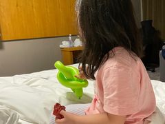 -北京民族园葉子里酒店(鸟巢店)