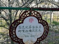 -树山生态村