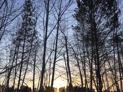 -北极村旅游风景区