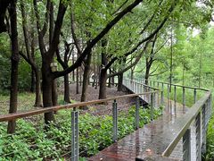 -昆山城市生态森林公园