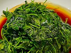 -荟廷·晶萃(陆家嘴尚悦湾店)