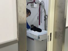 -申普宠物医院·眼科·心内科·影像科(普陀分院)