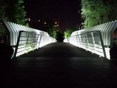-南翔镇银翔湖公园