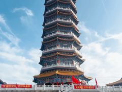 -金塔沙漠胡杨林景区