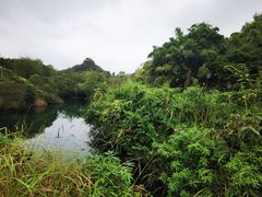 -花溪公园