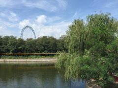 -南戴河国际娱乐中心