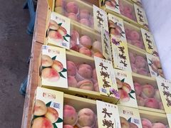 -南汇水蜜桃采摘(大团店)