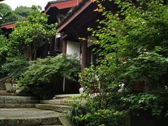 -龙井村