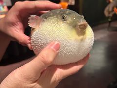 -肆月河豚·淮扬菜·湘菜(华天店)