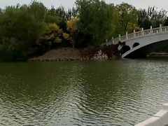 -塘沽森林公园