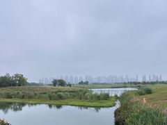 -洋湖国家湿地公园