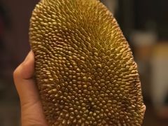 榴莲蜜-吾家果精品水果(海第店)