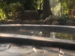 -融汇温泉