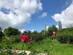 -人民公园(罗湖区)