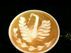 -Gloria Jean's Coffees