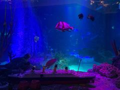 -沈阳海洋探索中心