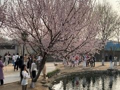 -春风习习