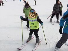 -亚布力新体委滑雪场