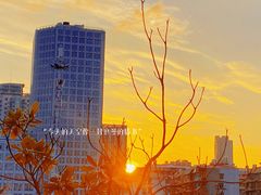 -武汉市第一初级中学(前进校区)