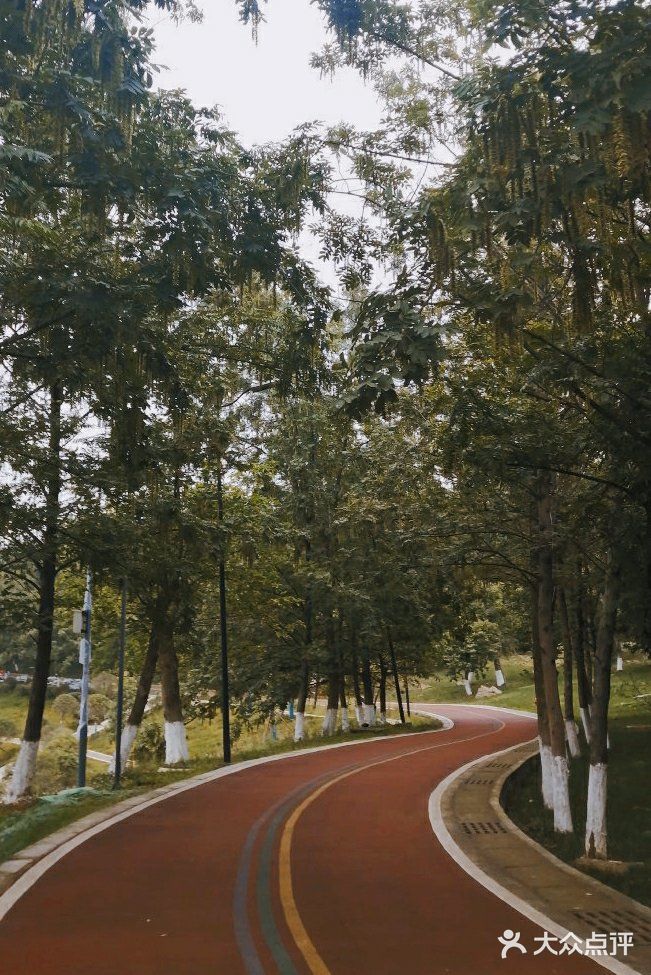 成都公园避暑，夏夜超级喜欢来成都露天音乐公园吹凉风。