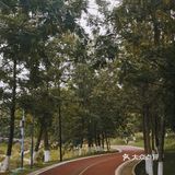 成都公园避暑，夏夜超级喜欢来成都露天音乐公园吹凉风。