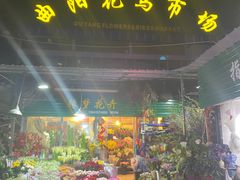 -曲阳花鸟市场(曲阳路店)