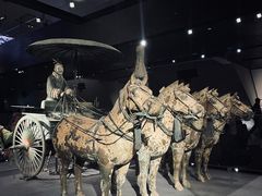 -秦始皇帝陵博物院-丽山园