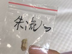 -雨林宠物医院 非犬猫异宠专科