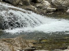 -牛背梁国家森林公园