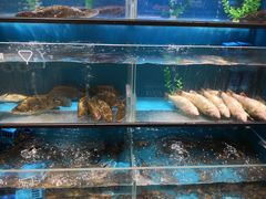 -盒马鲜生(王府广场店)