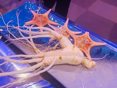 -千岛蚝高压锅生蚝·人参火锅(白云万达店)