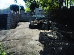 -船政文化景区-罗星塔公园