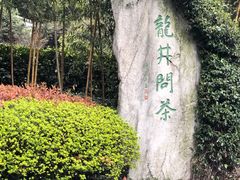 -十八棵（老龙井）御茶园(老龙井店)