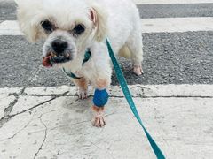 -康乐宝动物医院