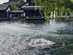 -百脉泉景区