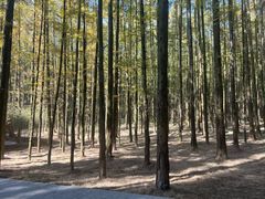 -山王坪喀斯特国家生态公园