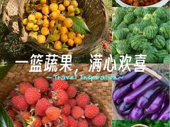 -沣峪口